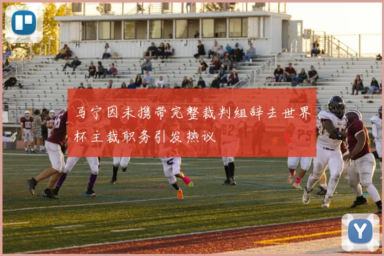 马宁因未携带完整裁判组辞去世界杯主裁职务引发热议