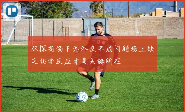 双探花场下无私交不成问题场上缺乏化学反应才是关键所在